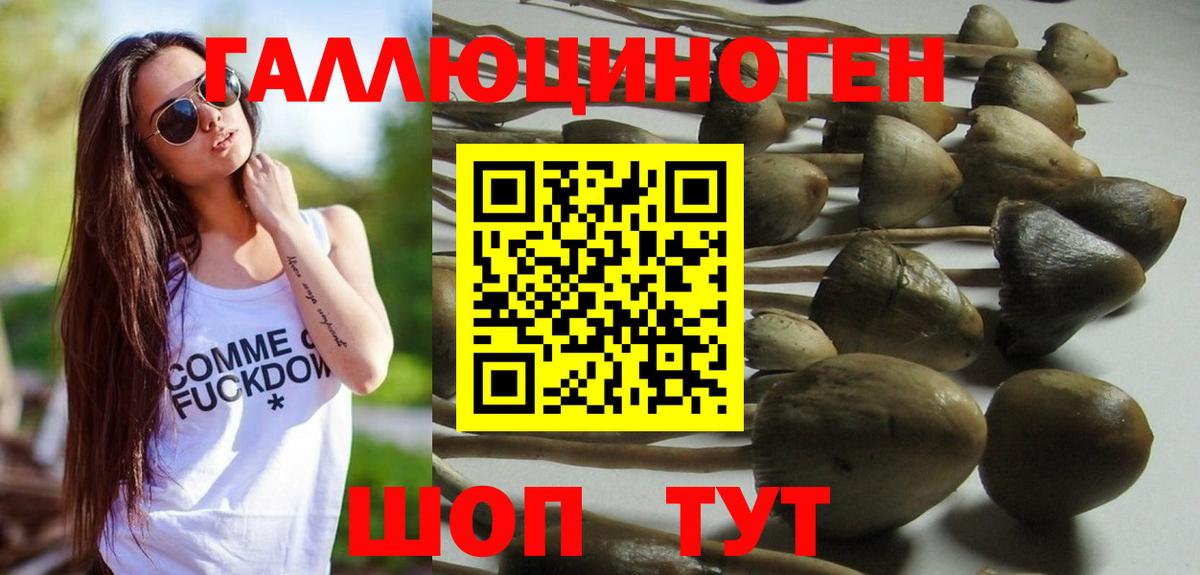 Верхний Уфалей  Псилоцибиновые грибы Cubensis  Псилоцибиновые грибы Psilocybine cubensis  Вход с VPN 