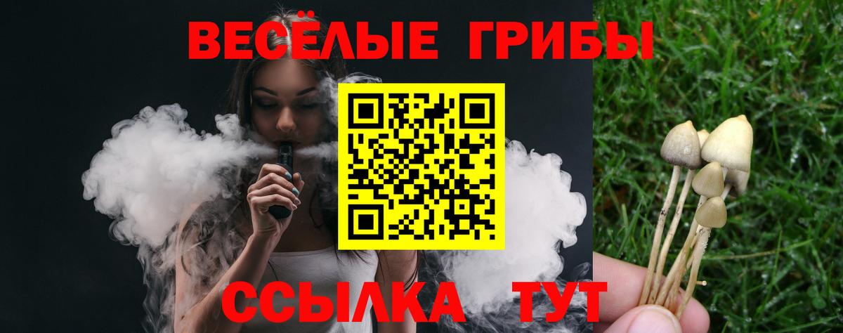 Псилоцибиновые грибы Psilocybine cubensis Верхний Уфалей